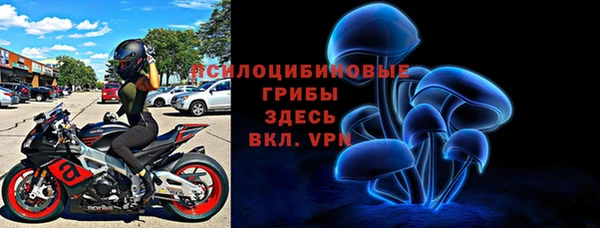 бошки Козельск