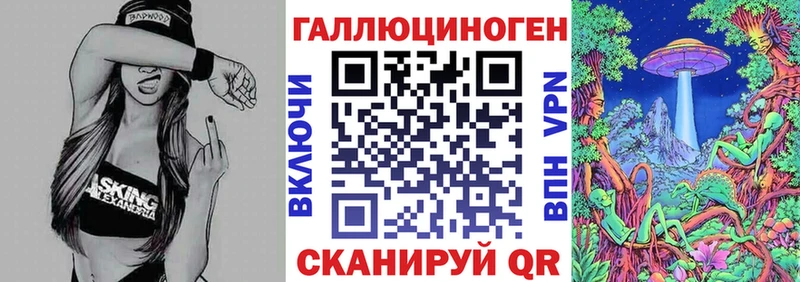 закладка  Иланский  Галлюциногенные грибы Psilocybine cubensis 