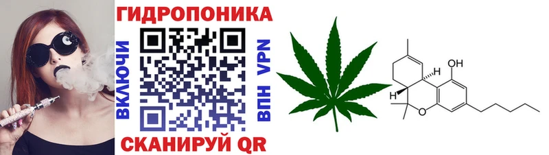 Конопля семена kraken зеркало Иланский